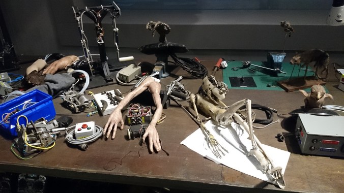 Harry Potter Creature Workshop