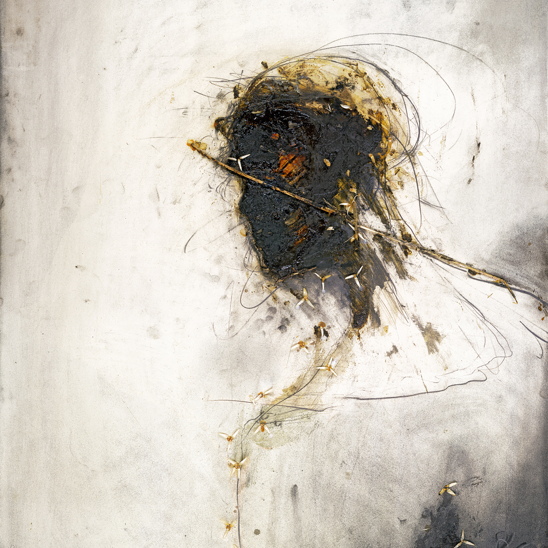 Peter Gabriel Passion New Age Grammy